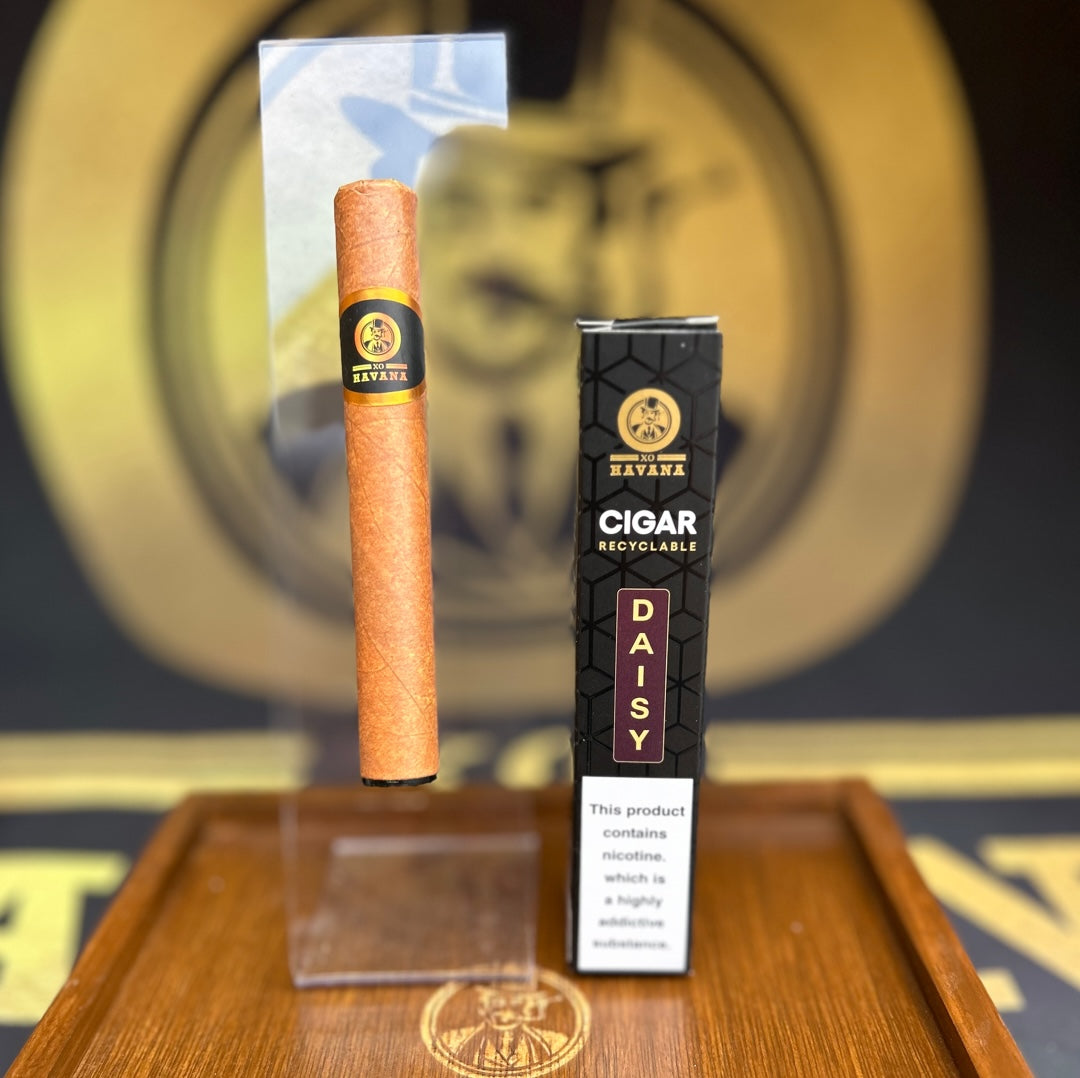 SISTEMA POD PER SIGARETTA ELETTRONICA CIGAR XO HAVANA | Gusto DAISY XO HAVANA EUROPE SISTEMA POD PER SIGARETTA ELETTRONICA CIGAR XO HAVANA | Gusto DAISY XO HAVANA EUROPE