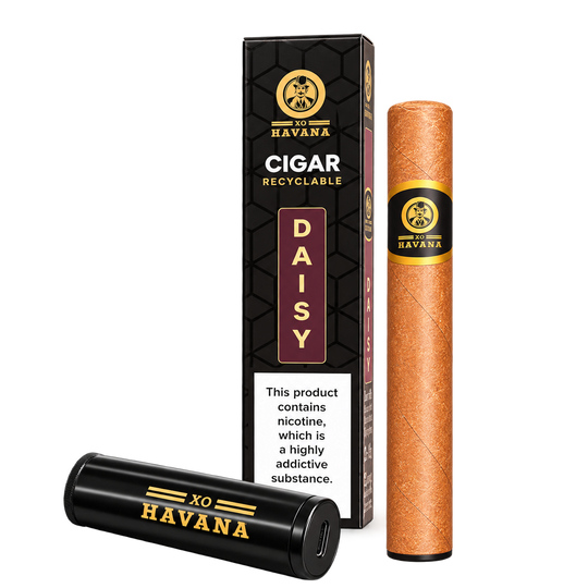 DAISY XO HAVANA FRANCE