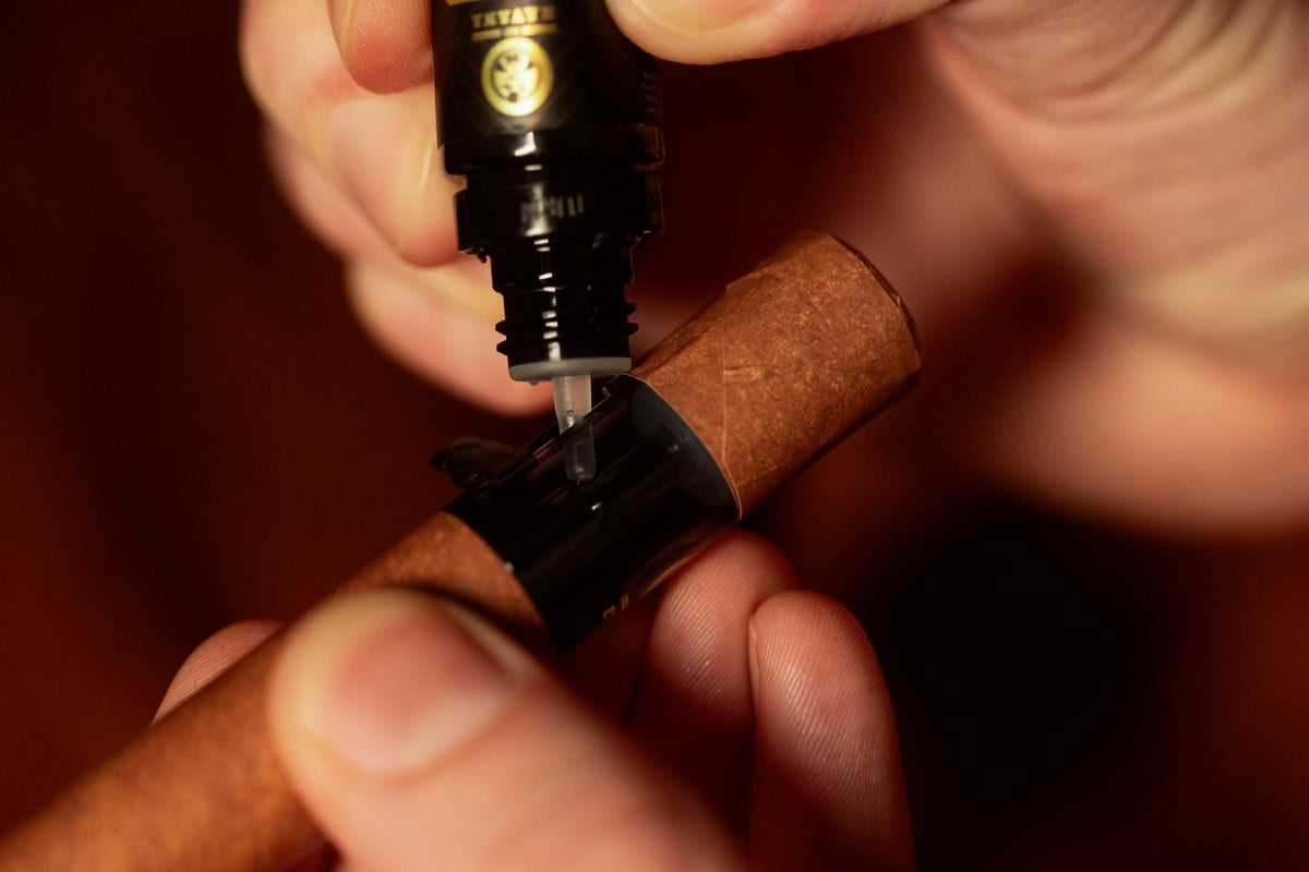 CUBANA XO HAVANA FRANCE